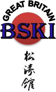 BSKI Logo